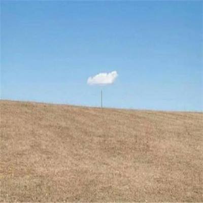 太阳集团棋牌娱乐